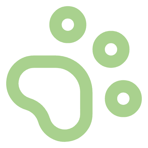 digital marketing,software development,digital services